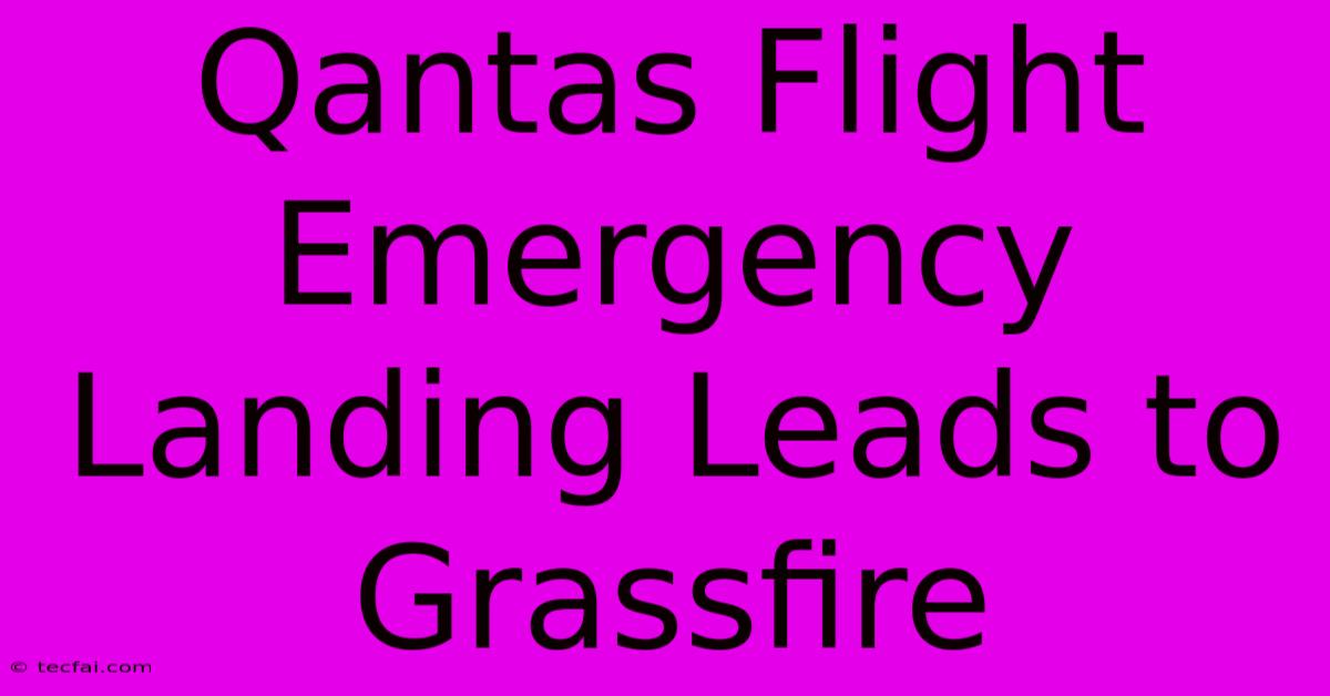 Qantas Flight Emergency Landing Leads To Grassfire 