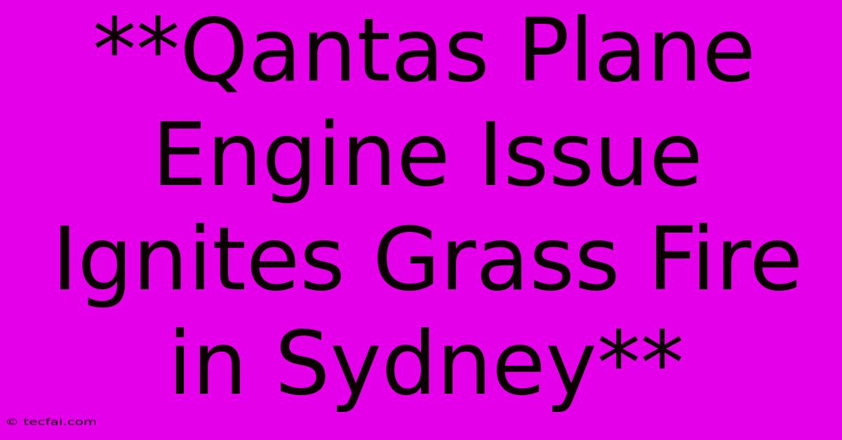 **Qantas Plane Engine Issue Ignites Grass Fire In Sydney**