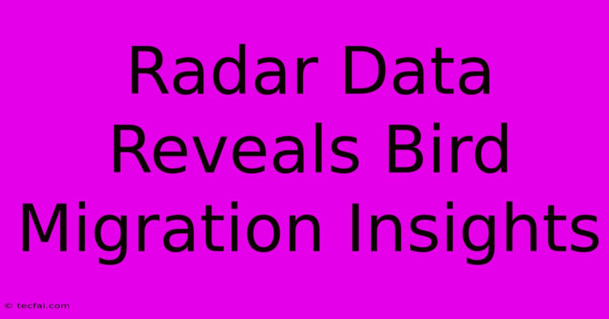 Radar Data Reveals Bird Migration Insights