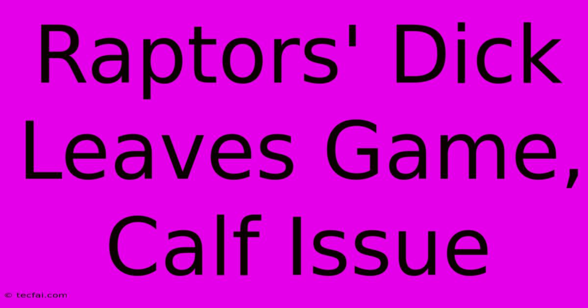 Raptors' Dick Leaves Game, Calf Issue