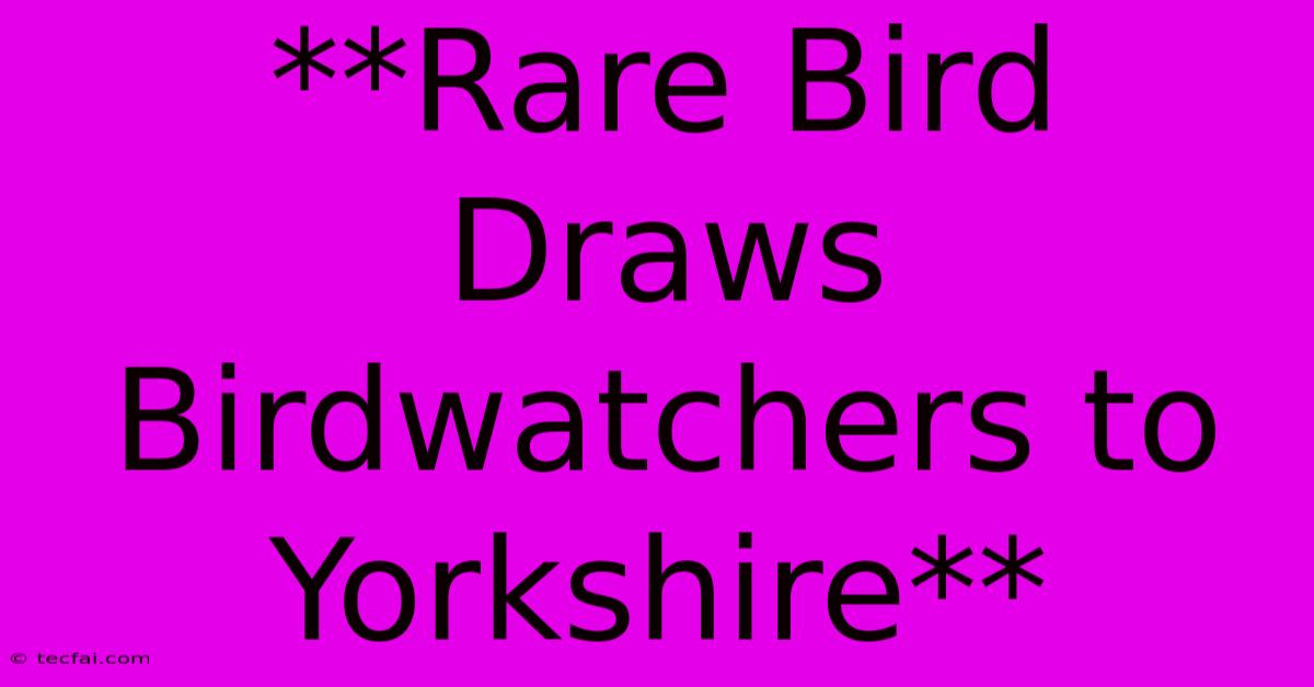 **Rare Bird Draws Birdwatchers To Yorkshire**