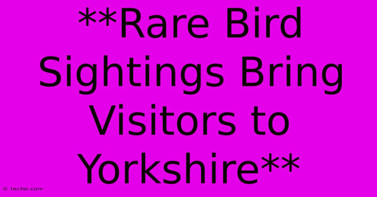 **Rare Bird Sightings Bring Visitors To Yorkshire**