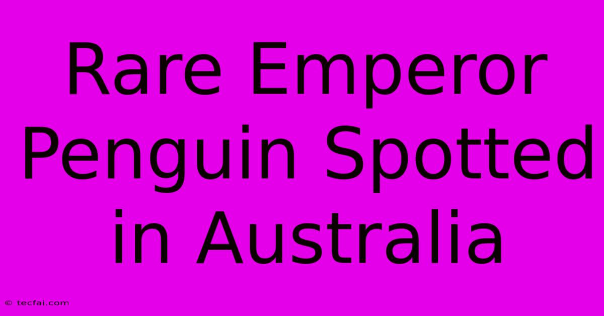 Rare Emperor Penguin Spotted In Australia