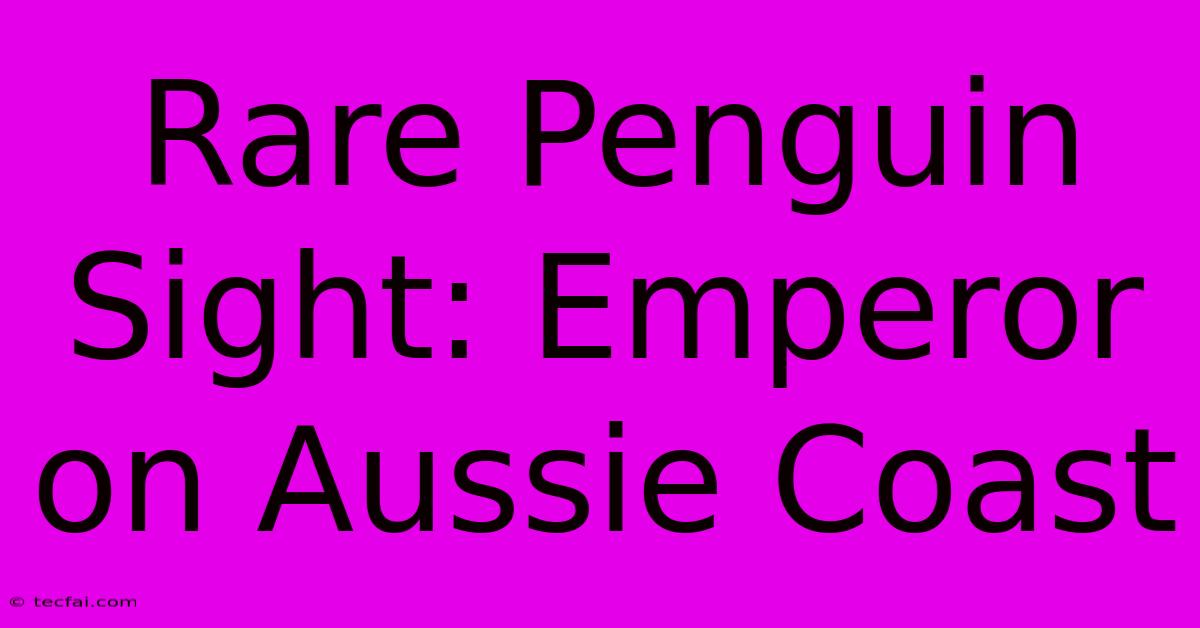 Rare Penguin Sight: Emperor On Aussie Coast 