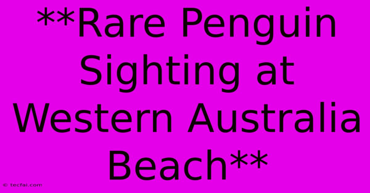 **Rare Penguin Sighting At Western Australia Beach**