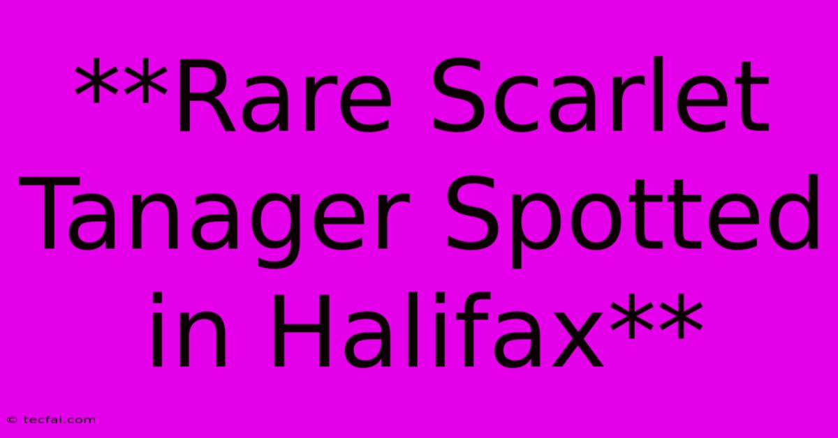 **Rare Scarlet Tanager Spotted In Halifax**