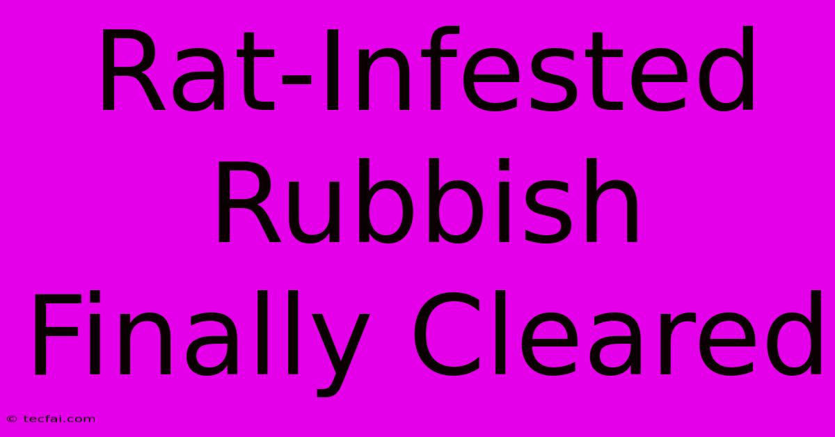 Rat-Infested Rubbish Finally Cleared