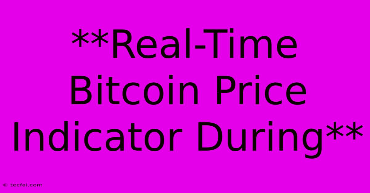 **Real-Time Bitcoin Price Indicator During** 