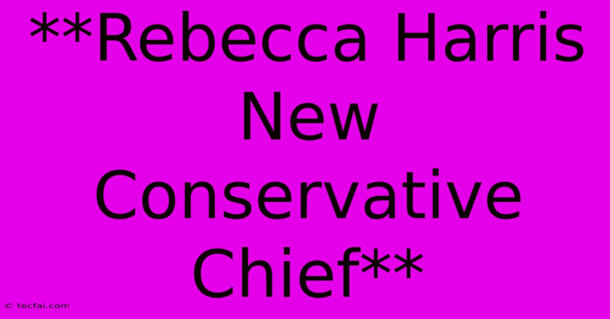 **Rebecca Harris New Conservative Chief**