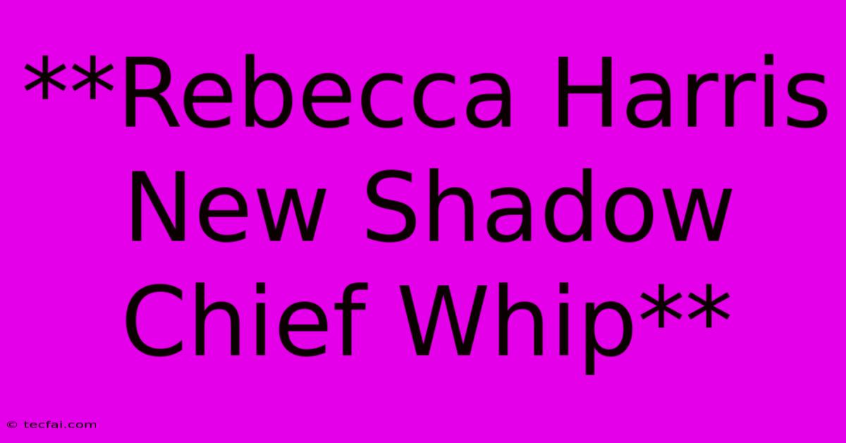 **Rebecca Harris New Shadow Chief Whip**