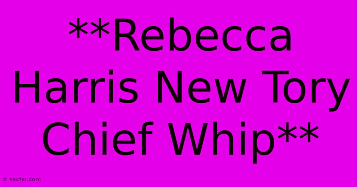 **Rebecca Harris New Tory Chief Whip**