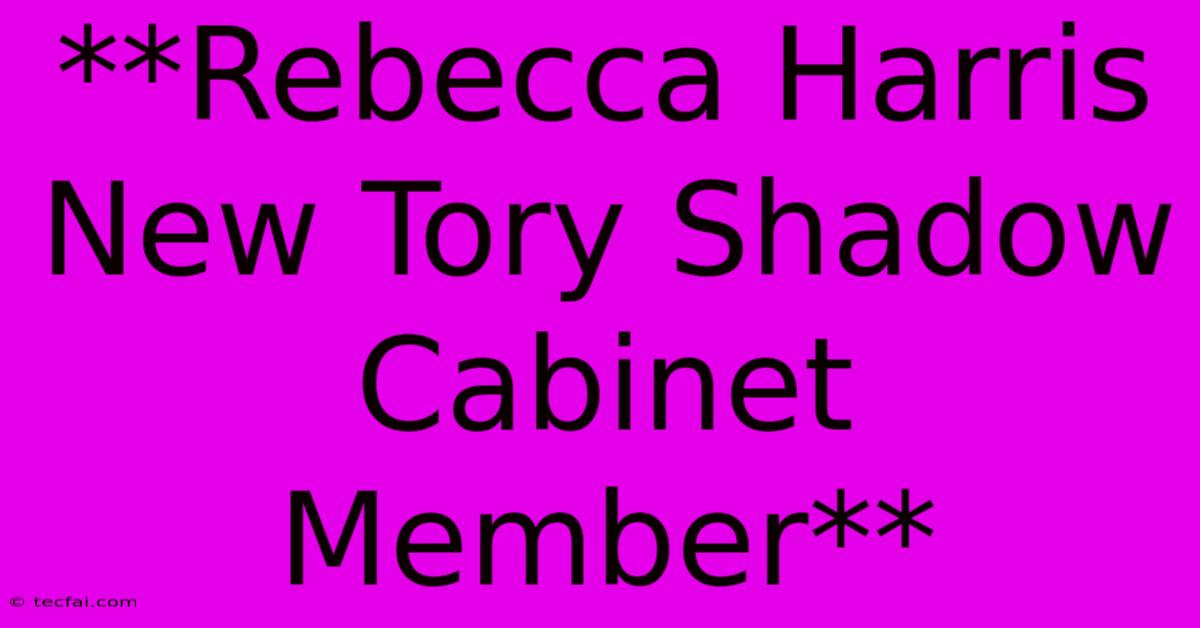 **Rebecca Harris New Tory Shadow Cabinet Member**