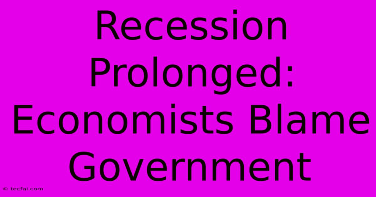 Recession Prolonged: Economists Blame Government