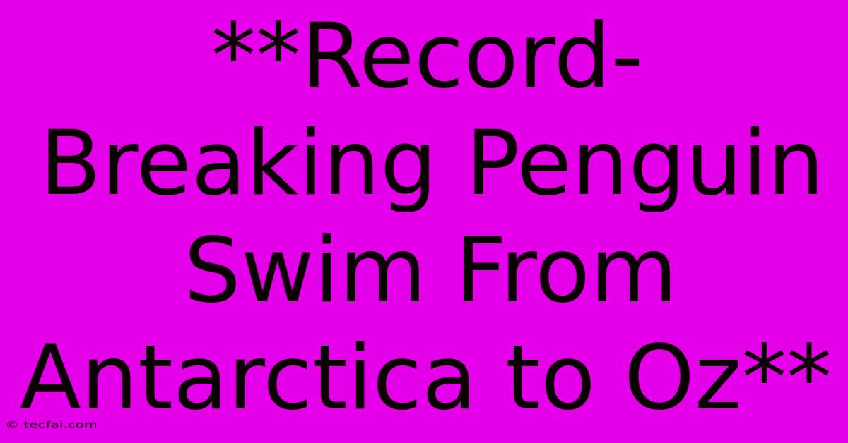 **Record-Breaking Penguin Swim From Antarctica To Oz** 