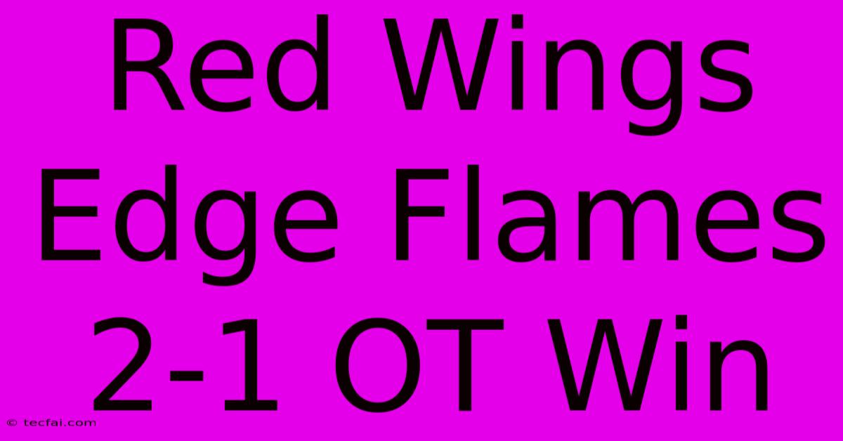 Red Wings Edge Flames 2-1 OT Win