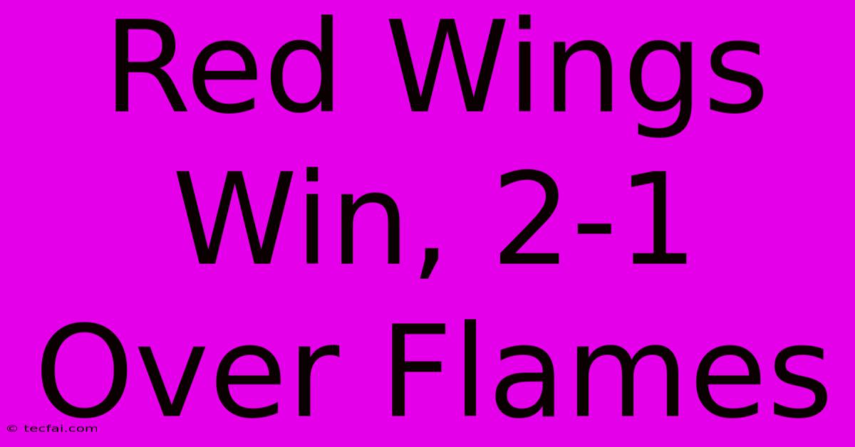 Red Wings Win, 2-1 Over Flames