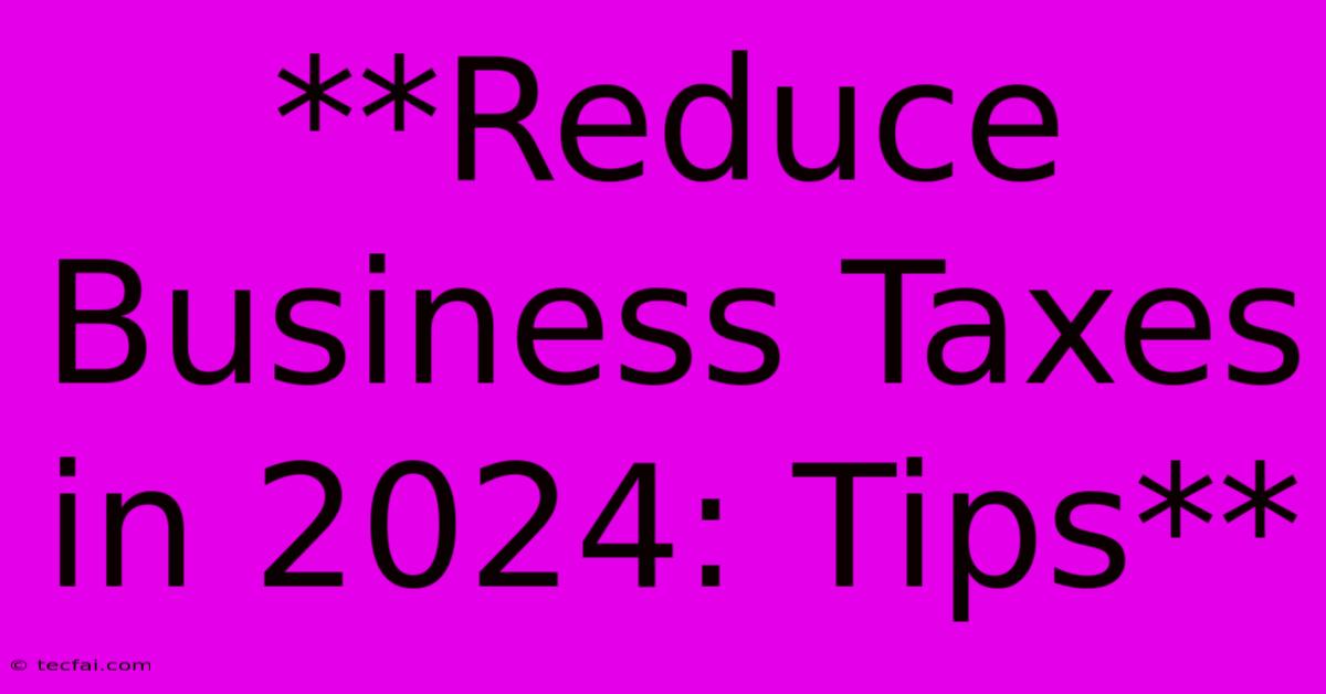 **Reduce Business Taxes In 2024: Tips** 