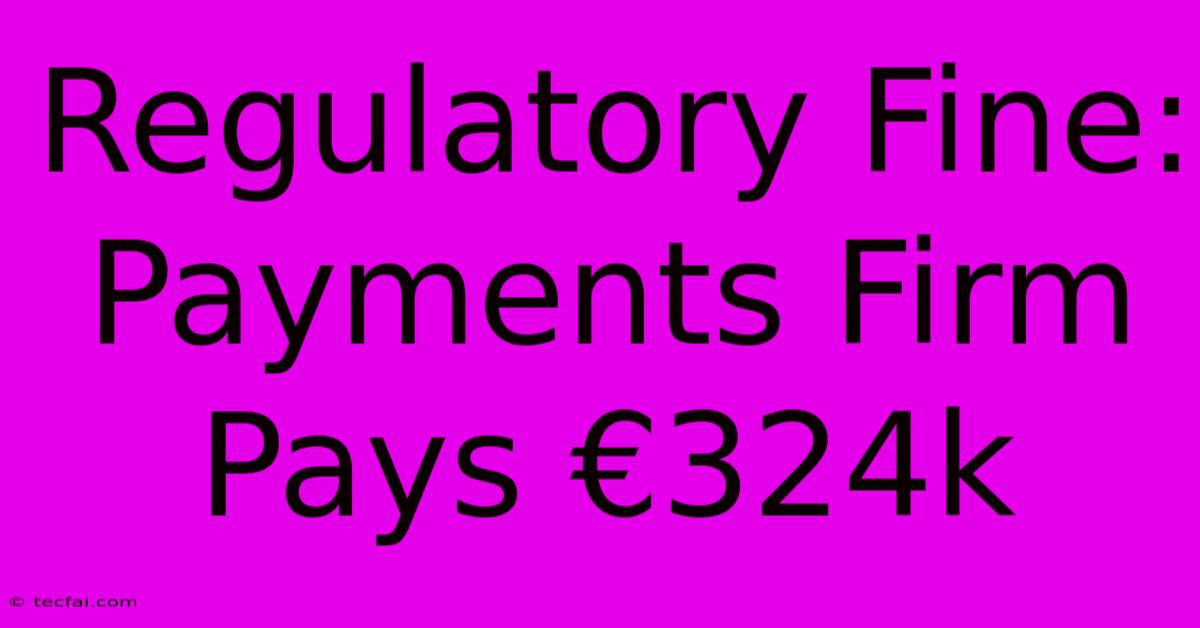 Regulatory Fine: Payments Firm Pays €324k