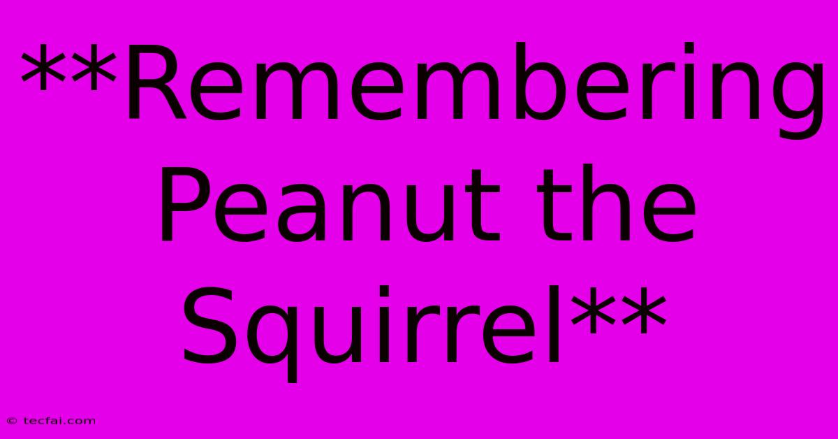 **Remembering Peanut The Squirrel**