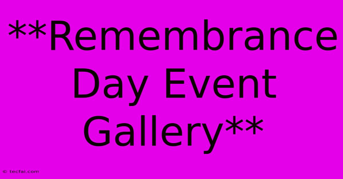 **Remembrance Day Event Gallery**