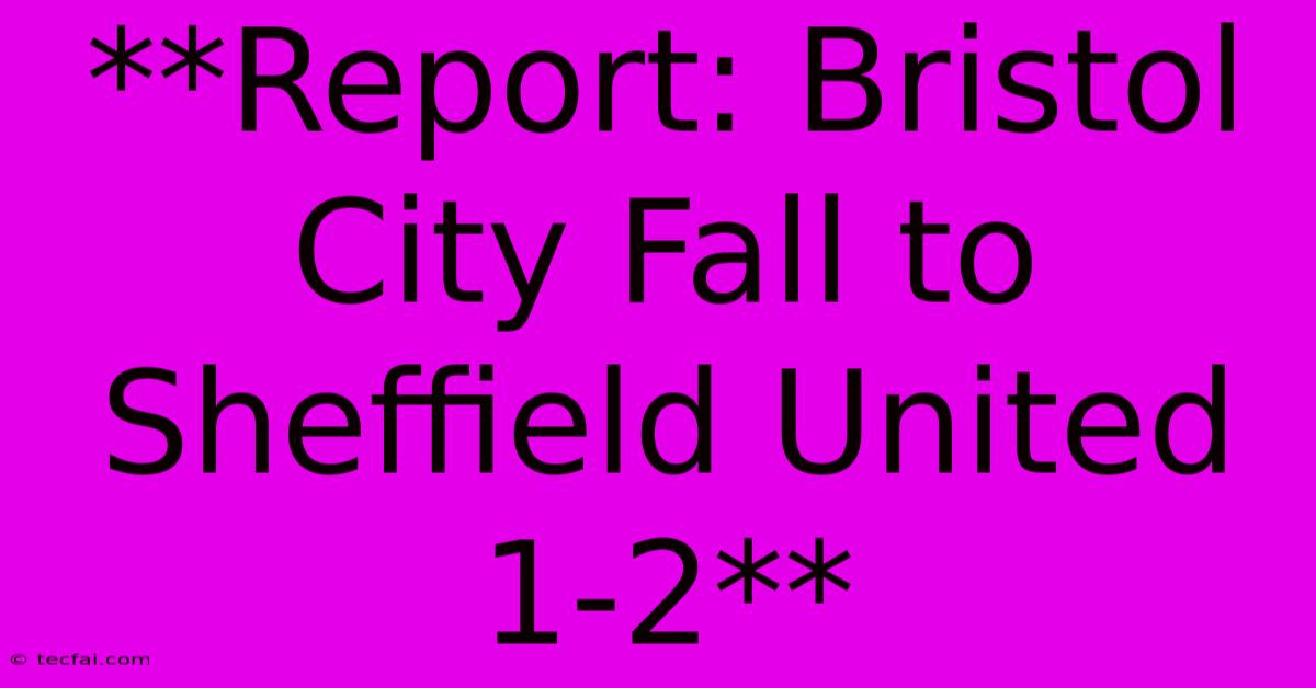 **Report: Bristol City Fall To Sheffield United 1-2**