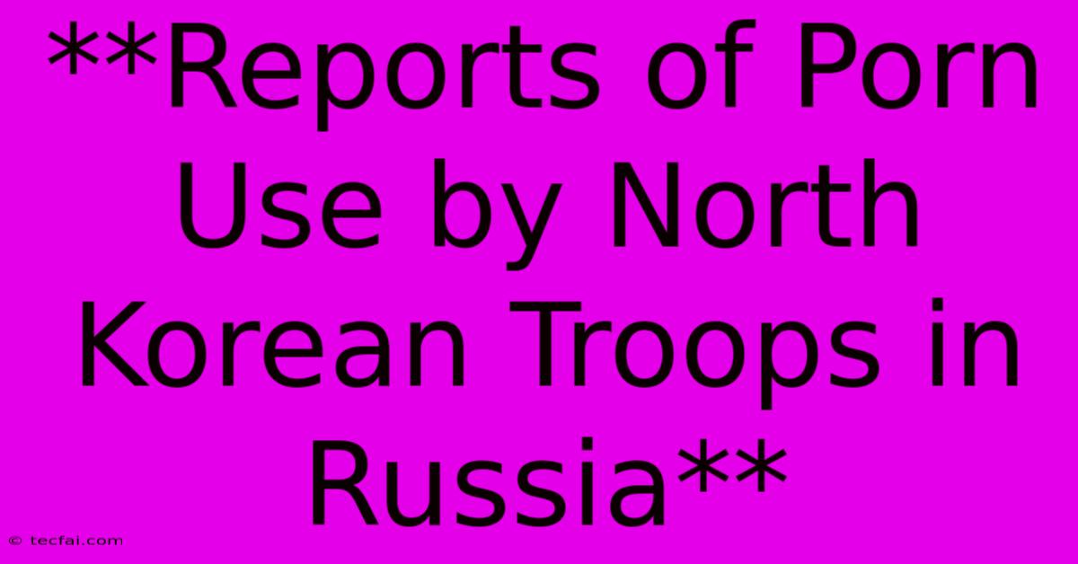 **Reports Of Porn Use By North Korean Troops In Russia**