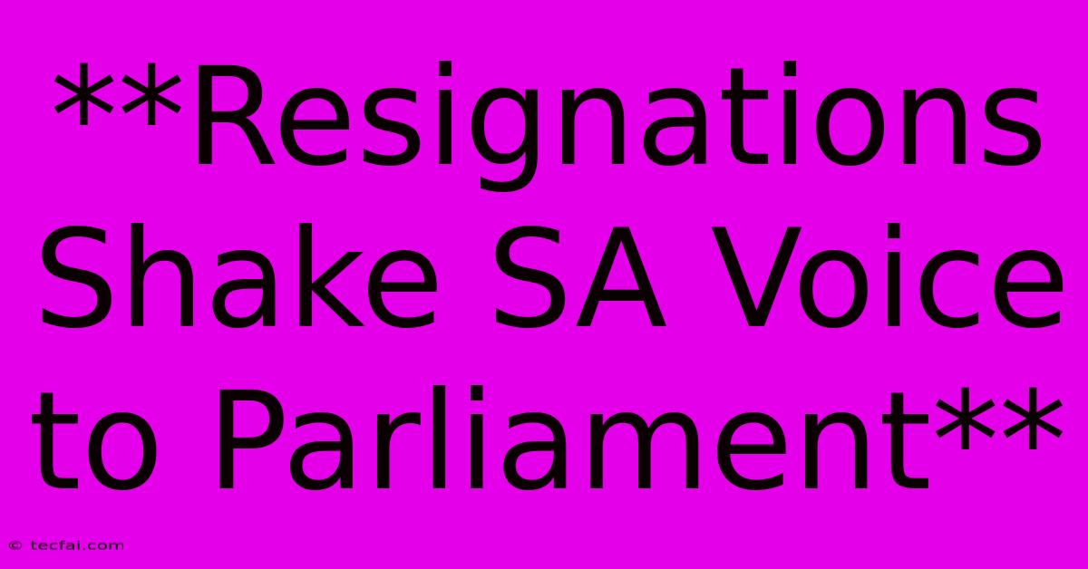 **Resignations Shake SA Voice To Parliament**