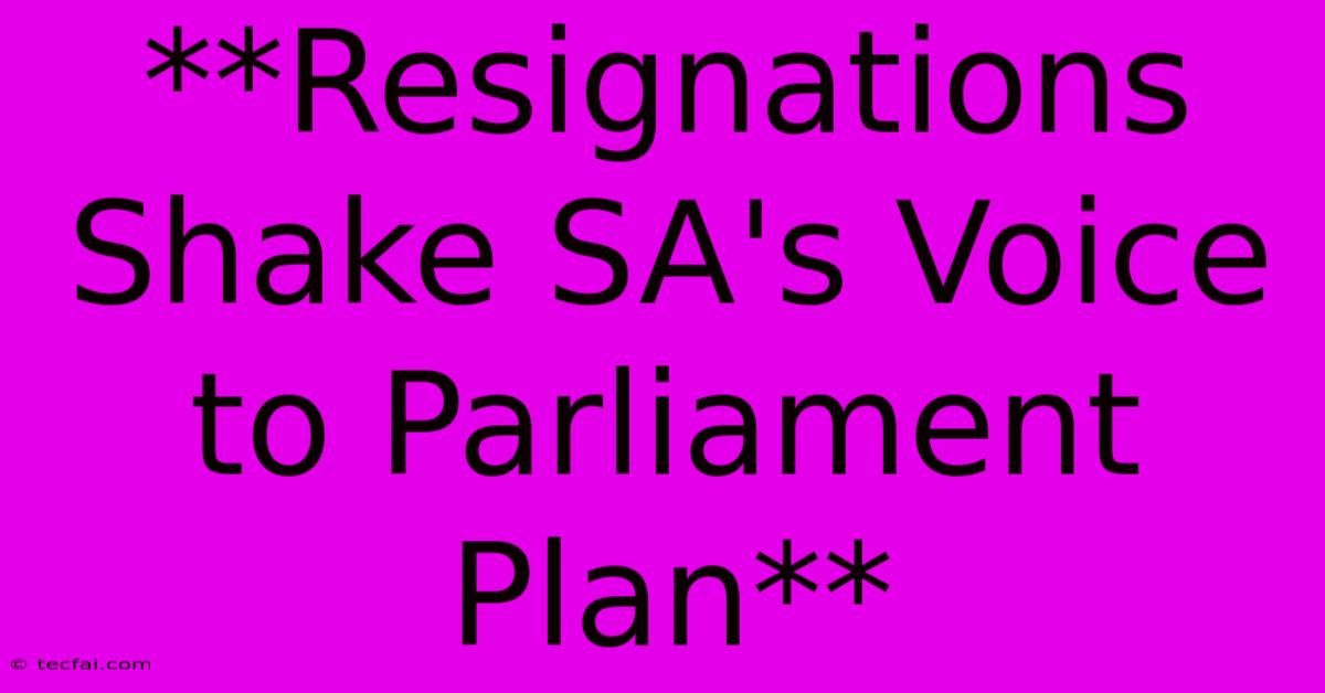 **Resignations Shake SA's Voice To Parliament Plan**