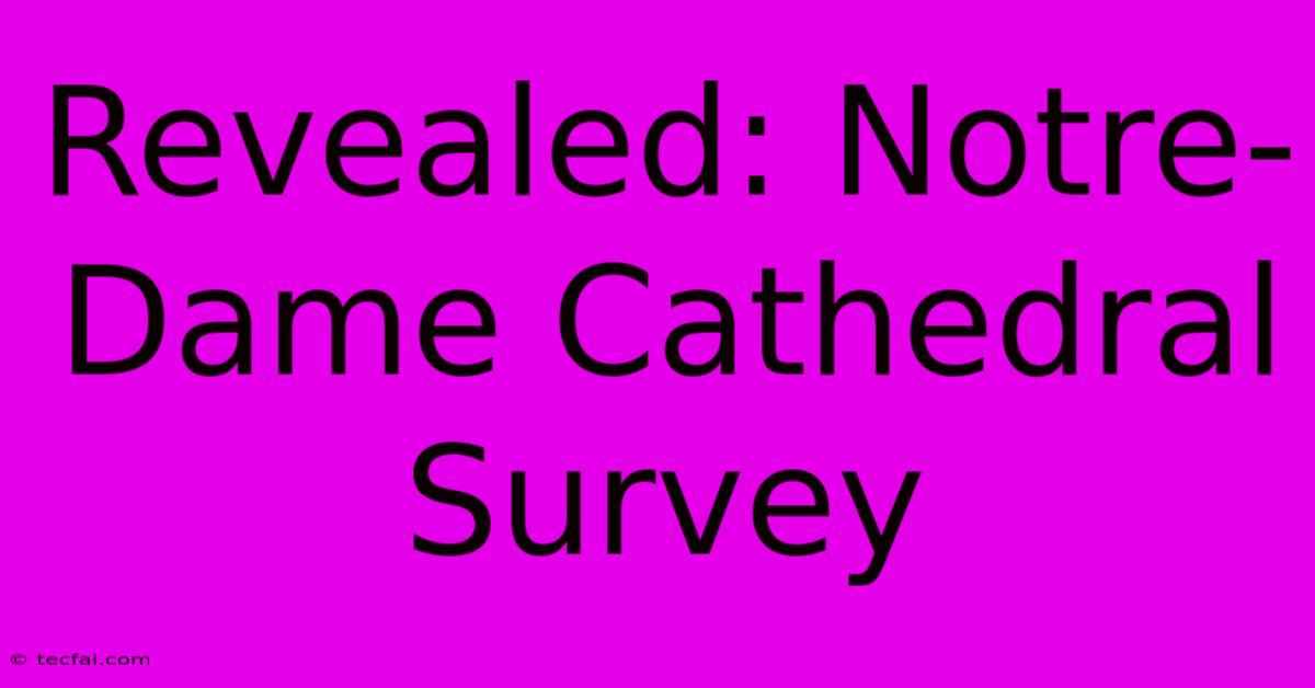 Revealed: Notre-Dame Cathedral Survey