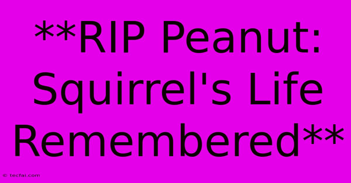 **RIP Peanut: Squirrel's Life Remembered** 