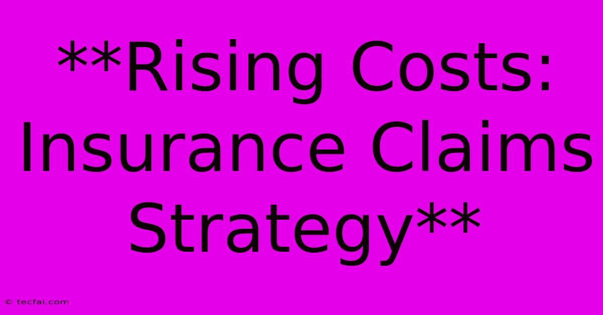 **Rising Costs: Insurance Claims Strategy**