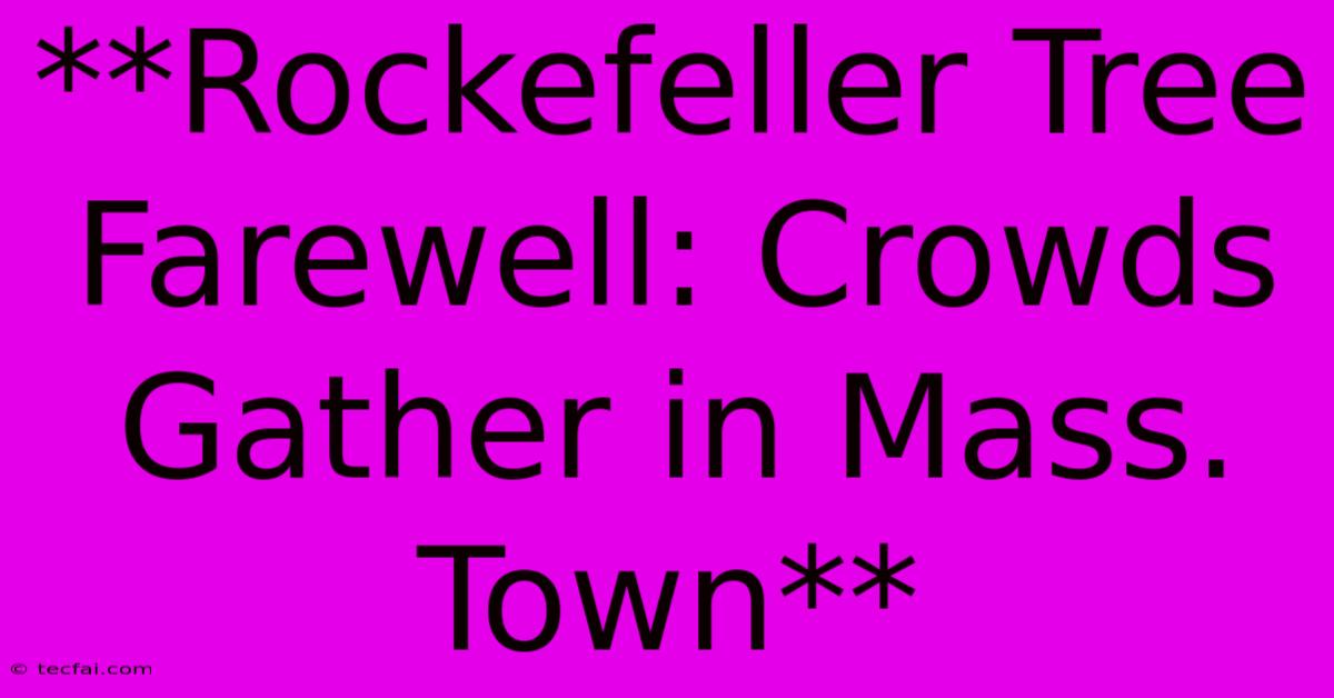 **Rockefeller Tree Farewell: Crowds Gather In Mass. Town**