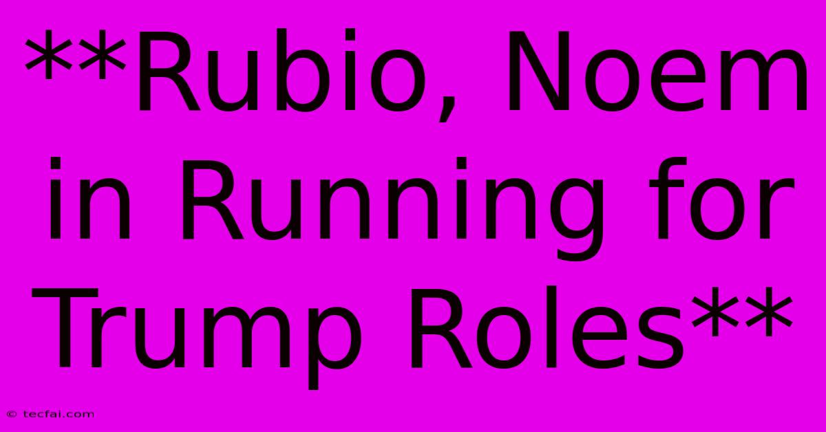 **Rubio, Noem In Running For Trump Roles**