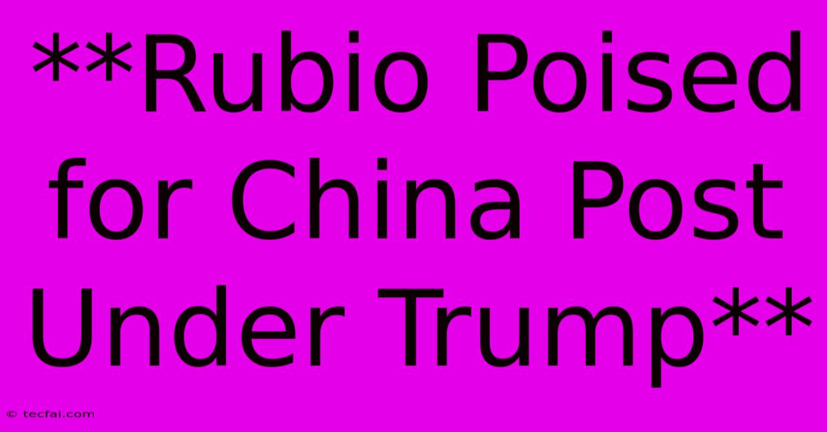 **Rubio Poised For China Post Under Trump**