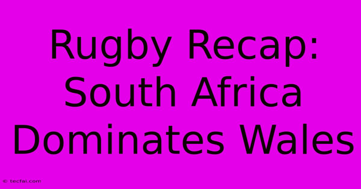 Rugby Recap: South Africa Dominates Wales