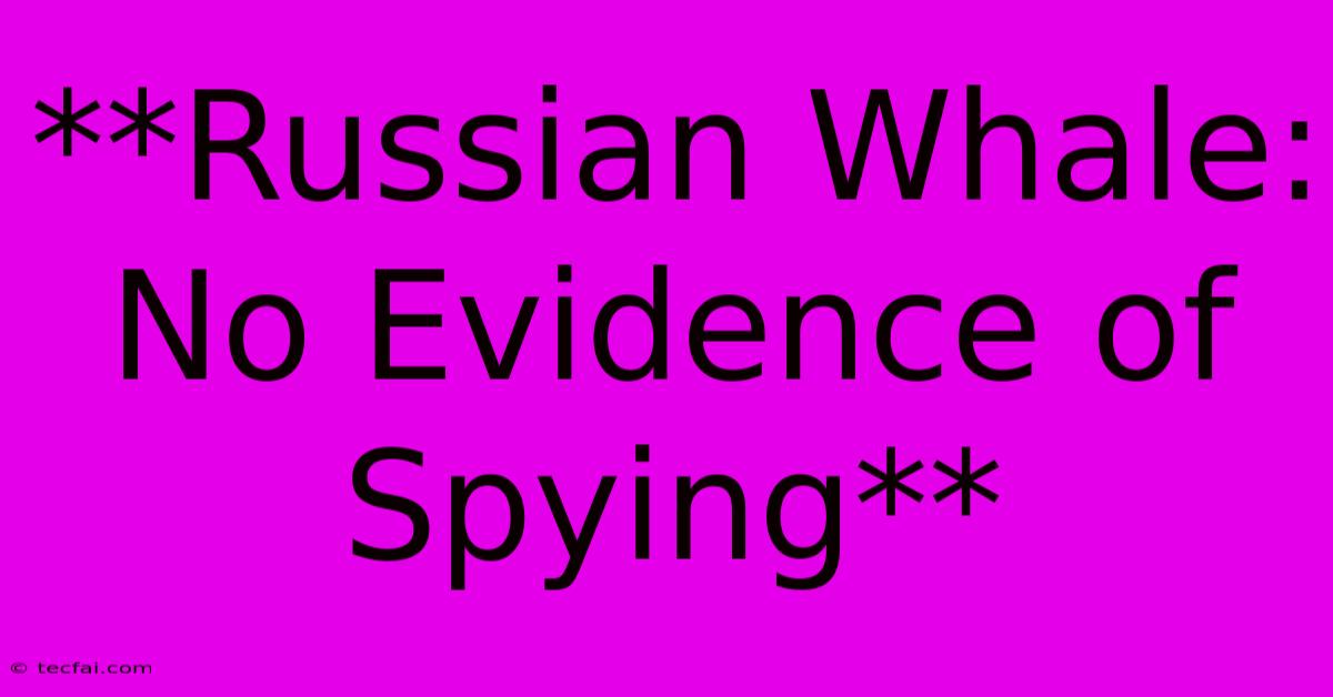 **Russian Whale: No Evidence Of Spying**