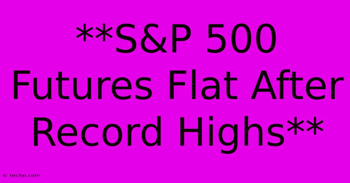 **S&P 500 Futures Flat After Record Highs**