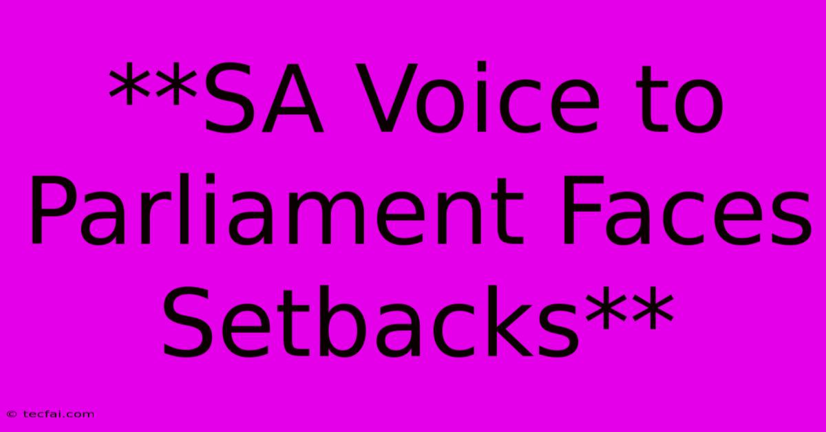 **SA Voice To Parliament Faces Setbacks**