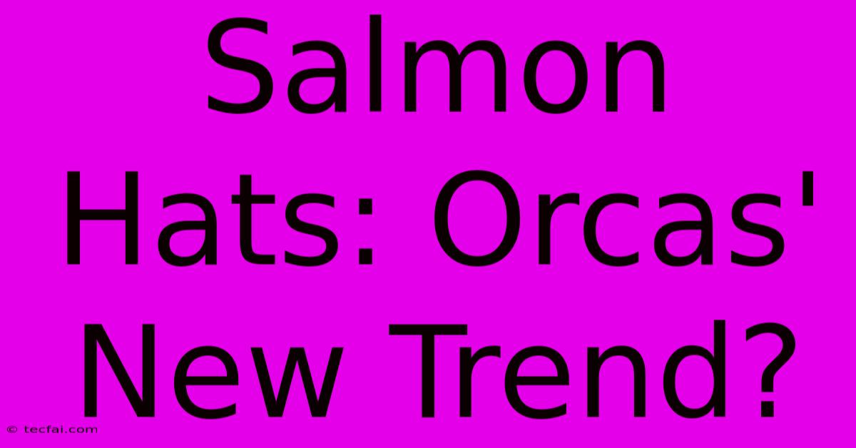 Salmon Hats: Orcas' New Trend?