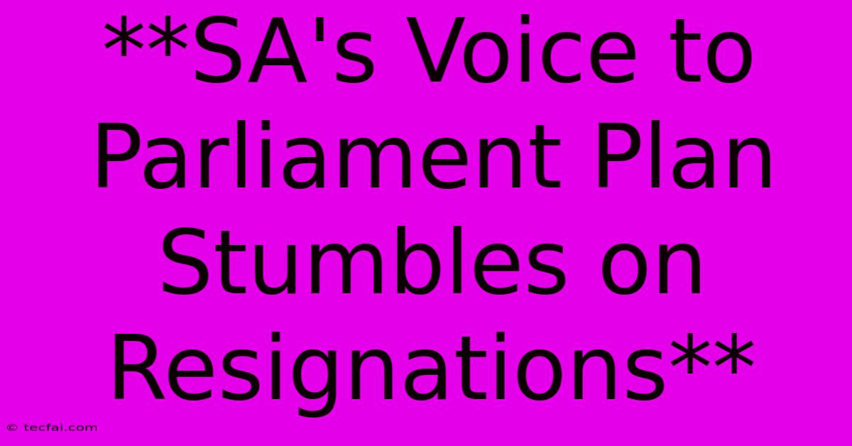 **SA's Voice To Parliament Plan Stumbles On Resignations** 