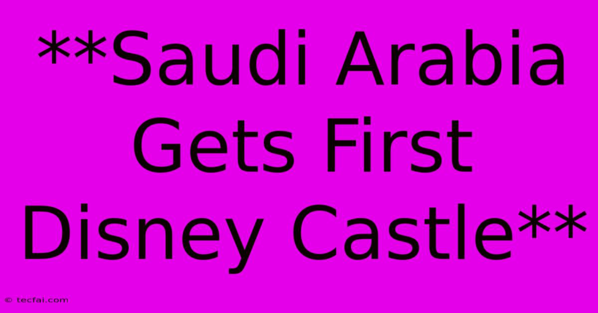 **Saudi Arabia Gets First Disney Castle**