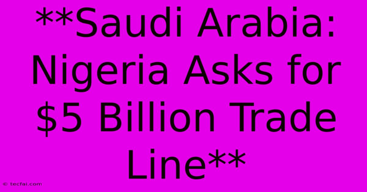 **Saudi Arabia: Nigeria Asks For $5 Billion Trade Line**