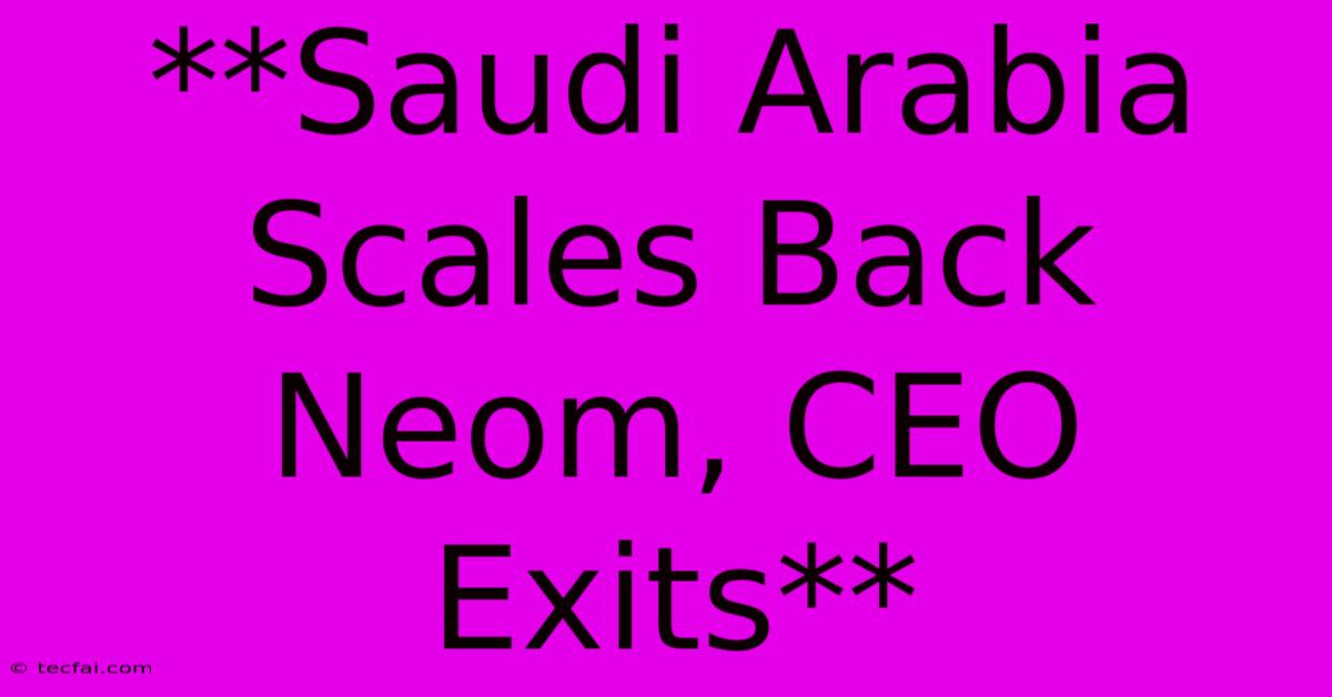 **Saudi Arabia Scales Back Neom, CEO Exits**