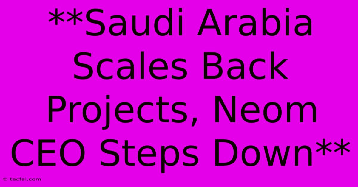 **Saudi Arabia Scales Back Projects, Neom CEO Steps Down**