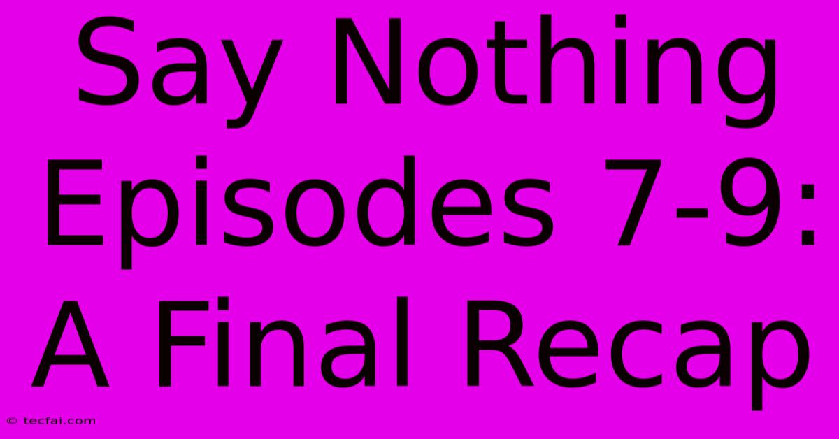 Say Nothing Episodes 7-9: A Final Recap