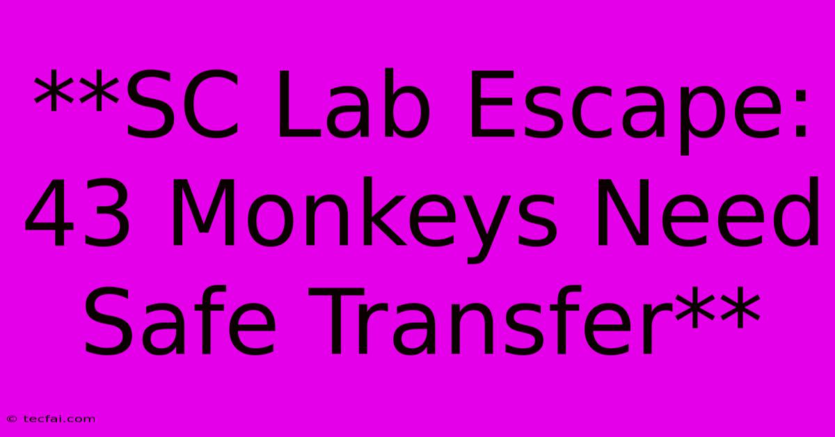 **SC Lab Escape: 43 Monkeys Need Safe Transfer** 