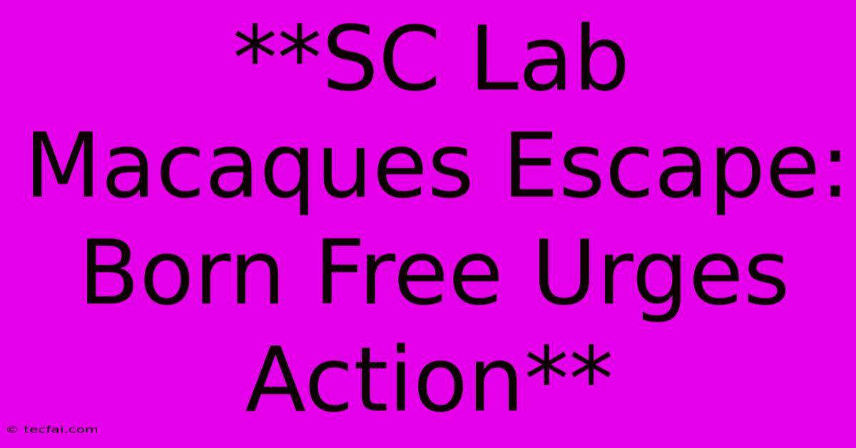 **SC Lab Macaques Escape: Born Free Urges Action**