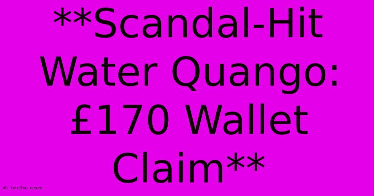 **Scandal-Hit Water Quango: £170 Wallet Claim**