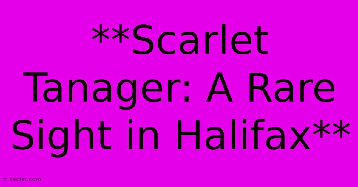 **Scarlet Tanager: A Rare Sight In Halifax**