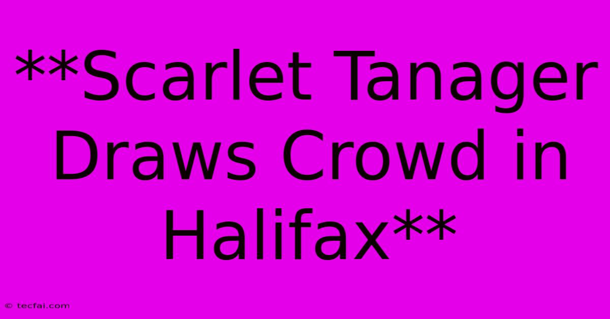 **Scarlet Tanager Draws Crowd In Halifax**